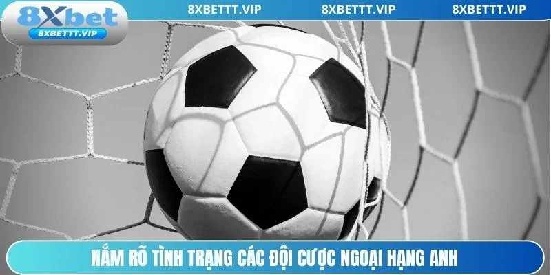 Tìm hiểu thánh tích các đội bóng trước khi cược